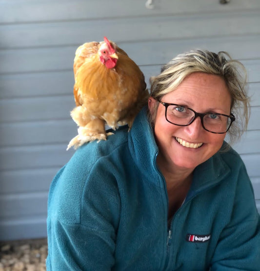 What Do The Professionals Say About Nestera?