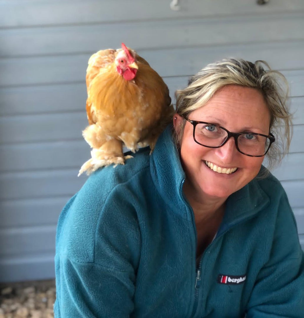 Qu'est ce que les professionnels pensent des poulaillers Nestera ?