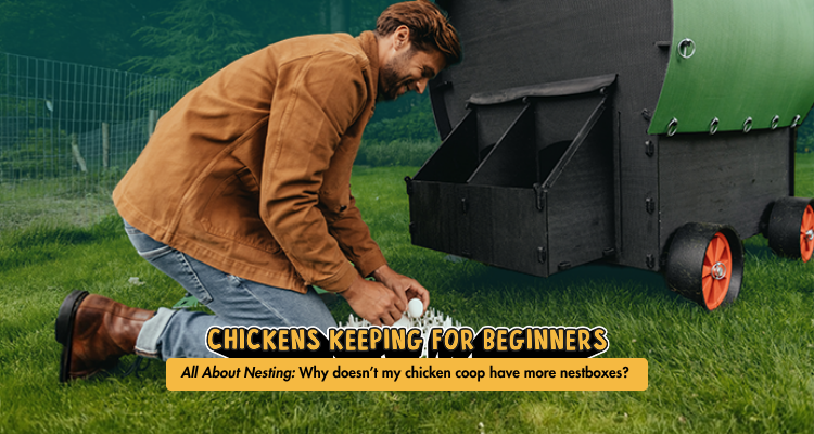 Why doesn’t my chicken coop have more nestboxes? 